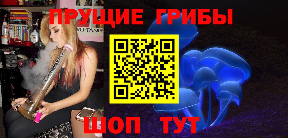 сколько стоит  Галлюциногенные грибы GOLDEN TEACHER  Вход с VPN  Заволжье 
